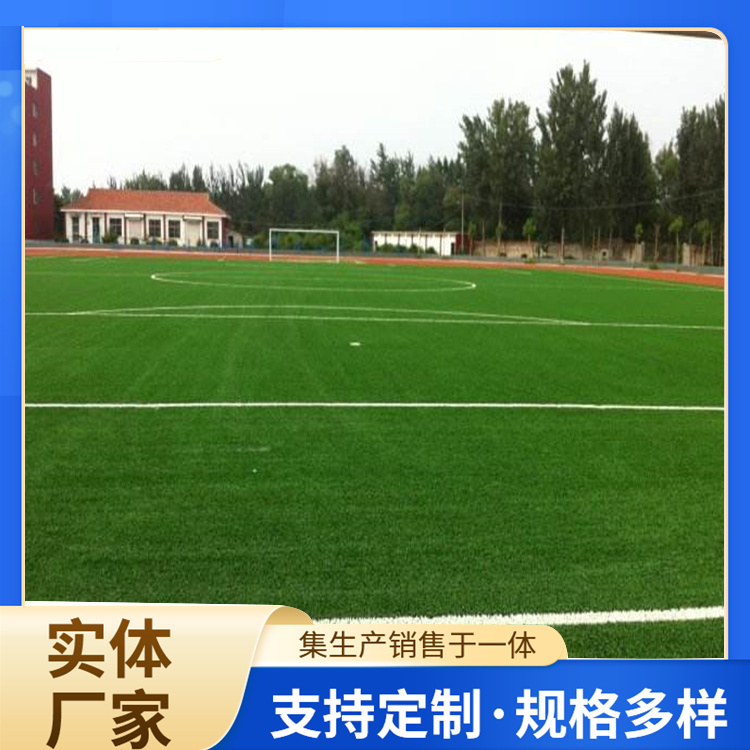 衡阳市塑胶跑道人造草坪 - 推荐